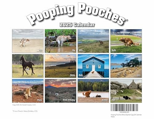 2025 calendar featuring dogs in nature